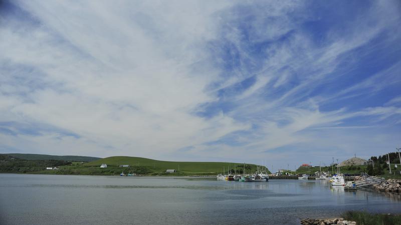 Parue dans : Iles du Cap Breton (Cabot Trail)