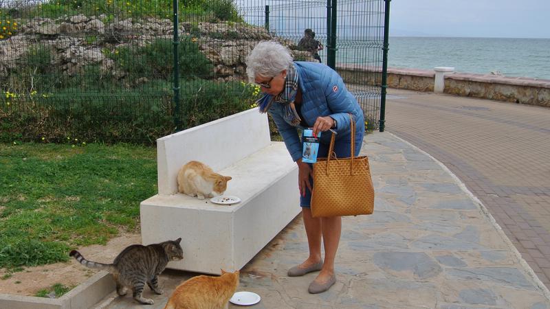 Parue dans : Promenade La Carihuela