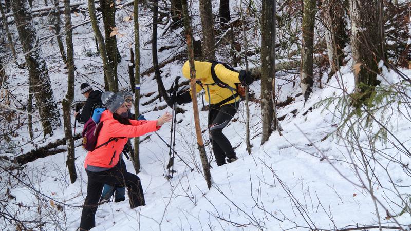 Parue dans : Parc naturel régional de Portneuf