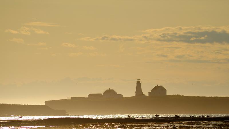 Parue dans : L'Île aux Perroquets