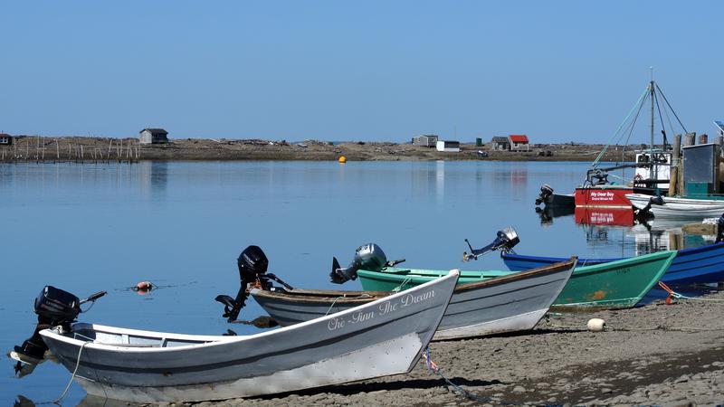 Parue dans : L'île Grand Manan