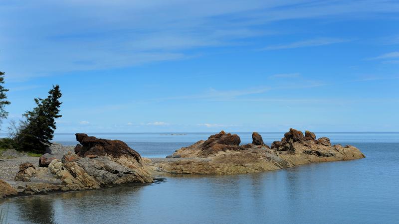 Parue dans : Parc national du Bic