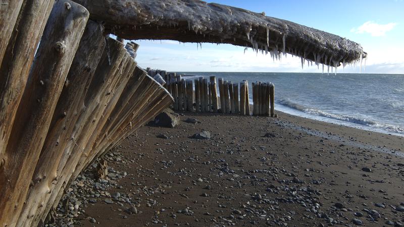 Parue dans : Gaspésie