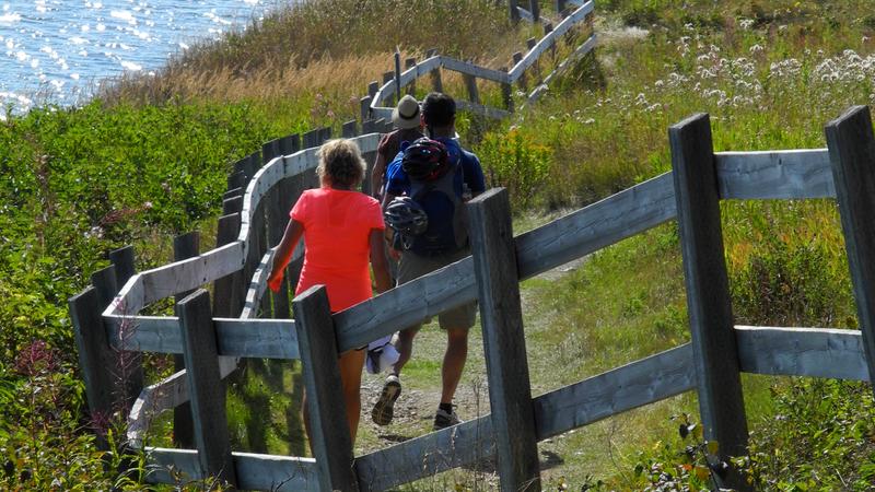 Parue dans : Parc national Forillon