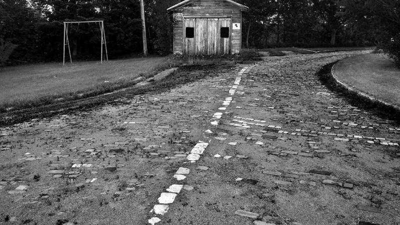 Parue dans : Abandonnés