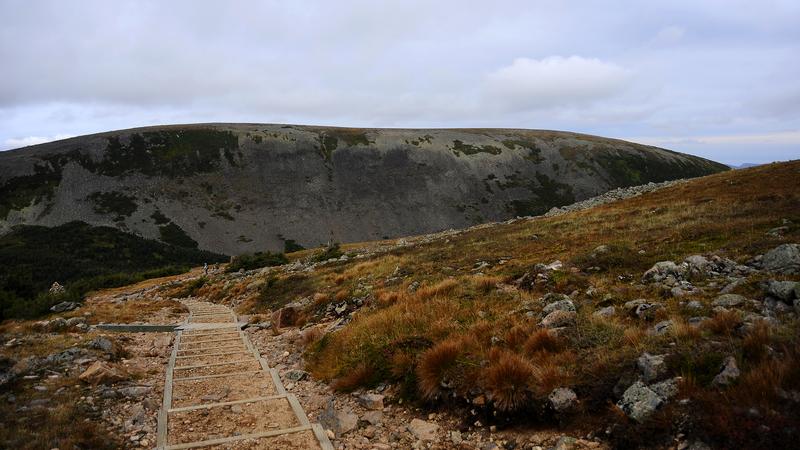 Parue dans : Mont Jacques-Cartier
