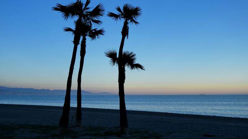 Parue dans : Entre ciel, mer et terre
