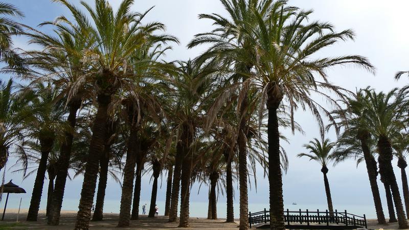 Parue dans : Torremolinos