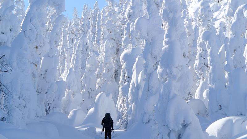 Parue dans : Le fabuleux royaume des Monts-Valin