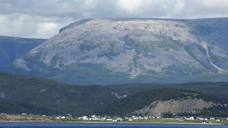 Parue dans : Terre Neuve deuxième voyage