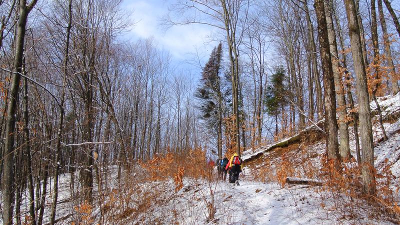 Parue dans : Parc naturel régional de Portneuf