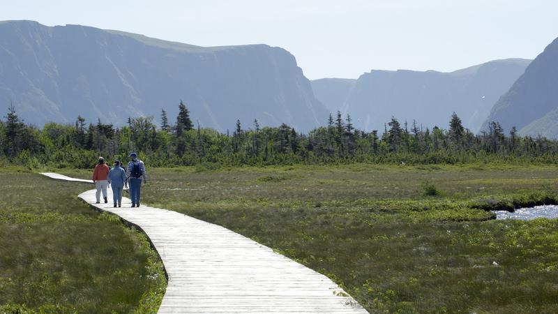 Parue dans : Terre Neuve deuxième voyage