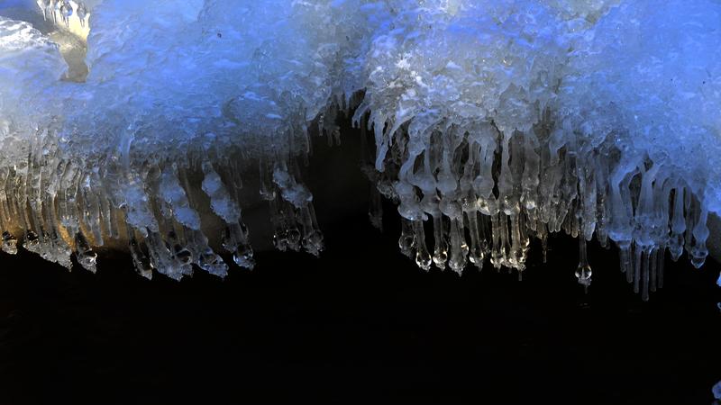 Parue dans : Nature hivernale