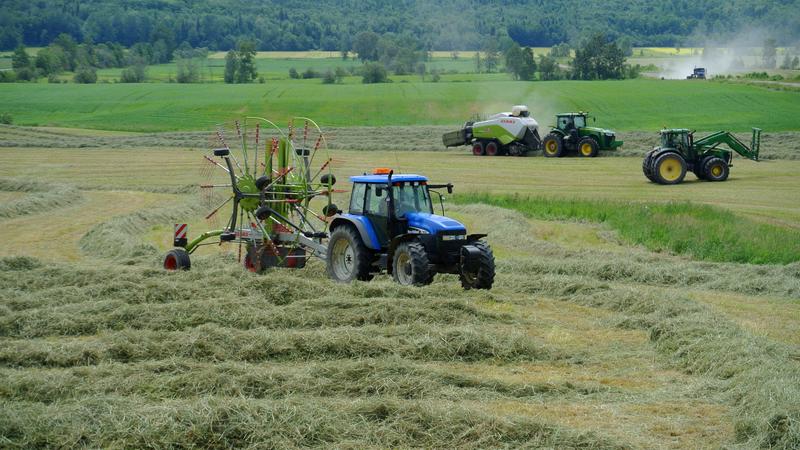Parue dans : Mauricie