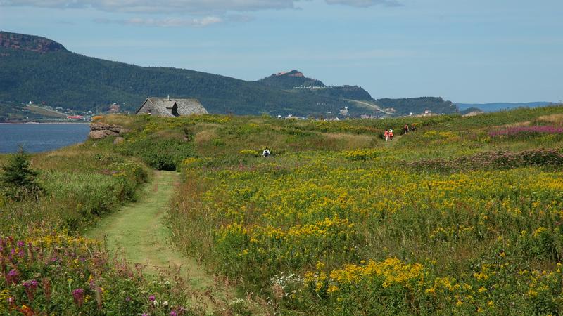 Parue dans : Le tour de l'île Bonaventure