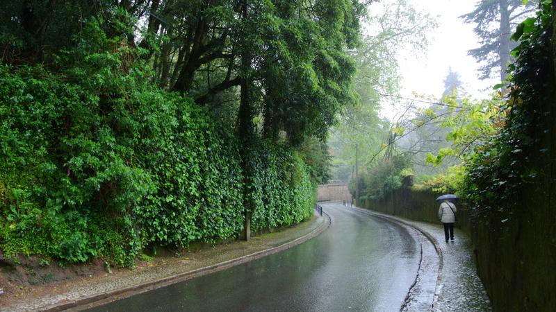 Parue dans : Sintra, la vieille ville