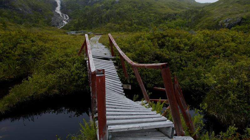 Parue dans : Terre Neuve deuxième voyage