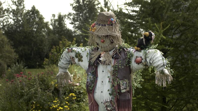 Parue dans : Mauricie