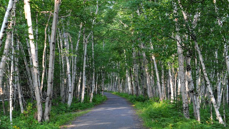 Parue dans : Lac Saint-Jean