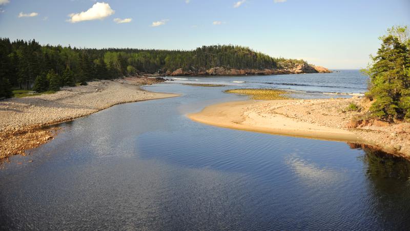 Parue dans : Iles du Cap Breton (Cabot Trail)