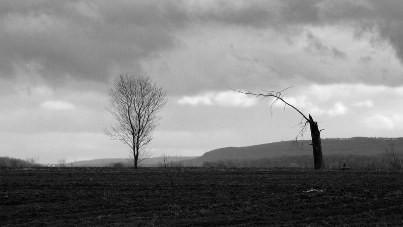 Parue dans : Paysage en noir et blanc
