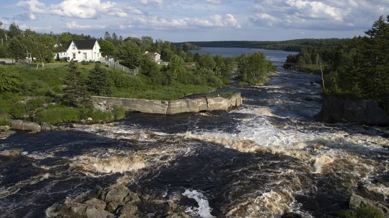 Parue dans : De Ship Harbour à Antigonish