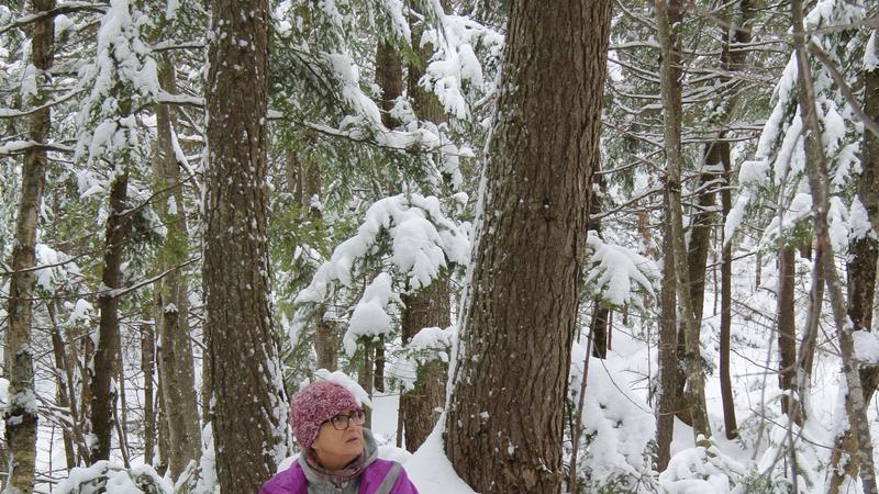 Parue dans : Parc naturel régional de Portneuf