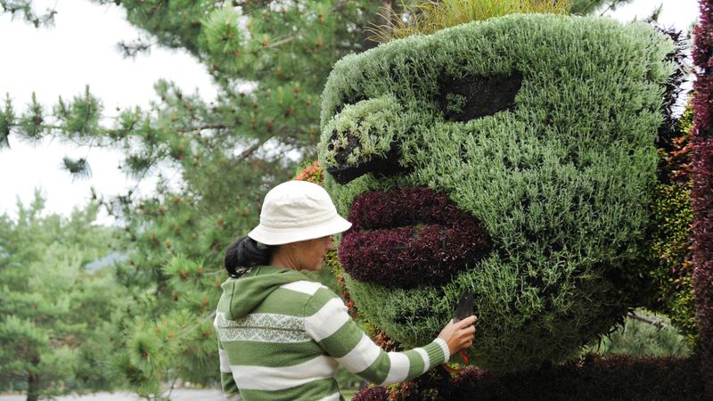 Parue dans : Parc linéaire Petit Témis