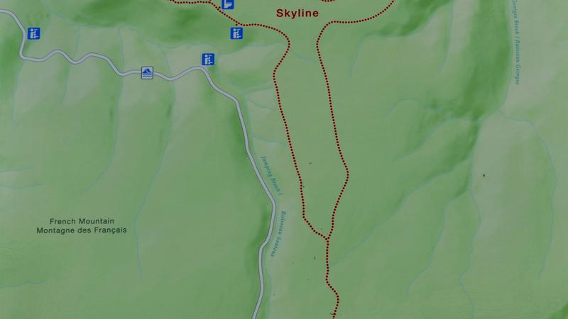 Parue dans : Skyline Trail ( Île du Cap Breton )