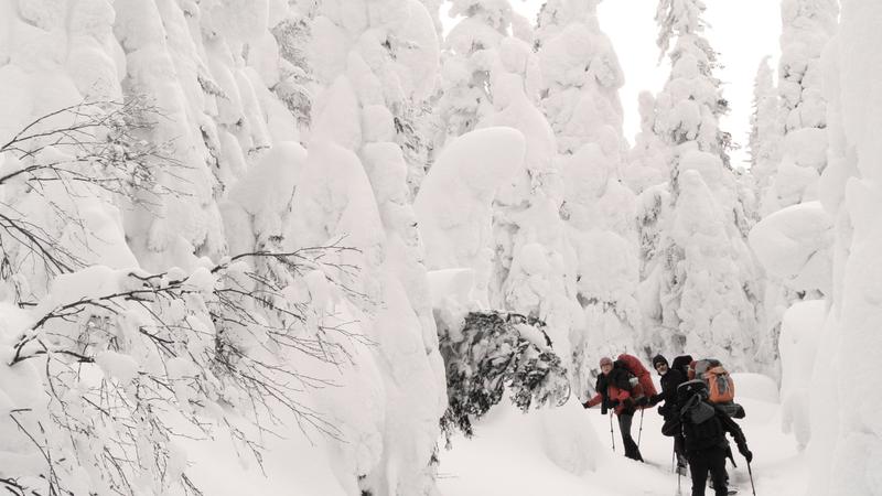 Parue dans : Le fabuleux royaume des Monts-Valin