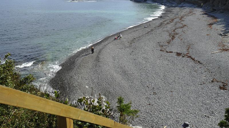 Parue dans : Parc national Forillon