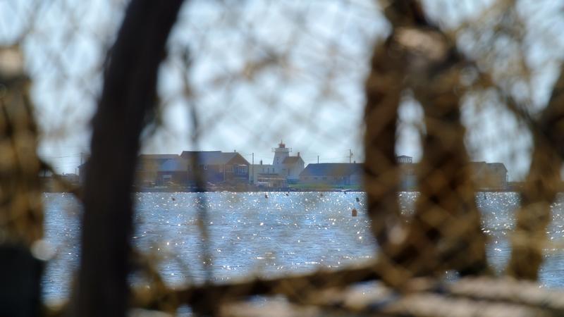Parue dans : L'Île-du-Prince-Édouard