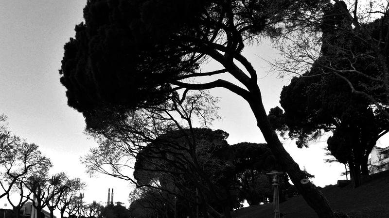Parue dans : Lisbonne en noir et blanc