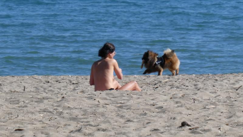 Parue dans : La Carihuela