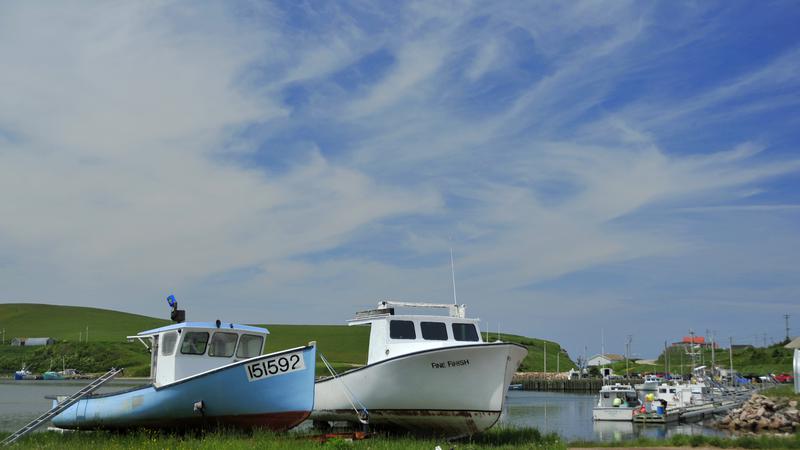Parue dans : Iles du Cap Breton (Cabot Trail)