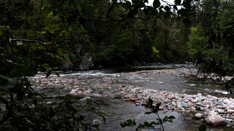 Parue dans : Parc national de la Gaspésie