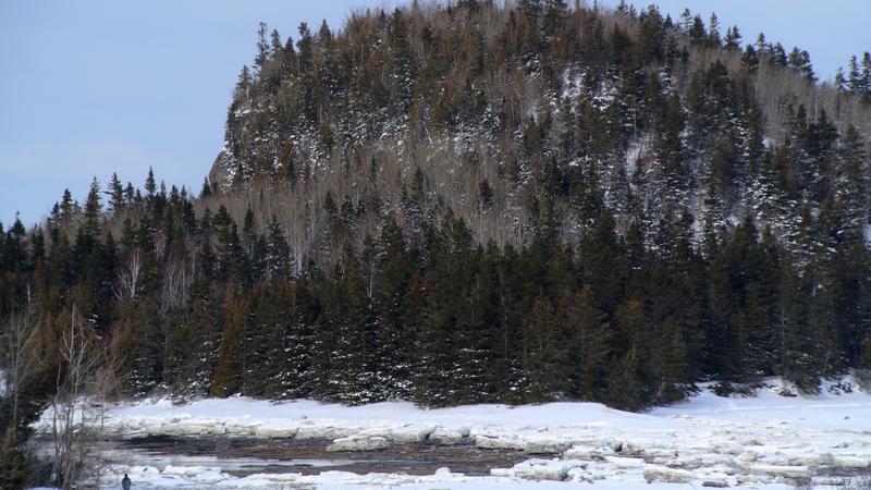 Parue dans : Randonnée au Parc national du Bic