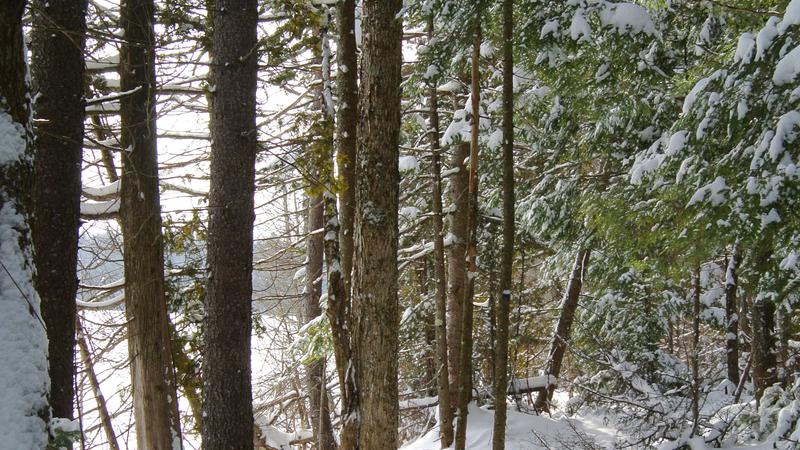 Parue dans : Parc naturel régional de Portneuf