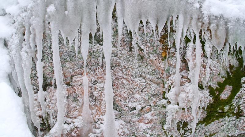 Parue dans : Nature hivernale
