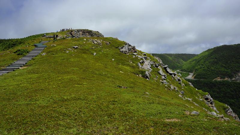 Parue dans : Skyline Trail ( Île du Cap Breton )