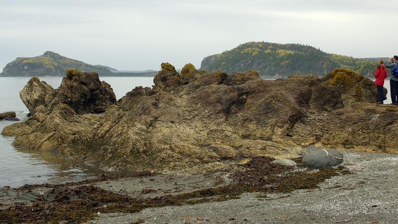 Parue dans : Parc national du Bic