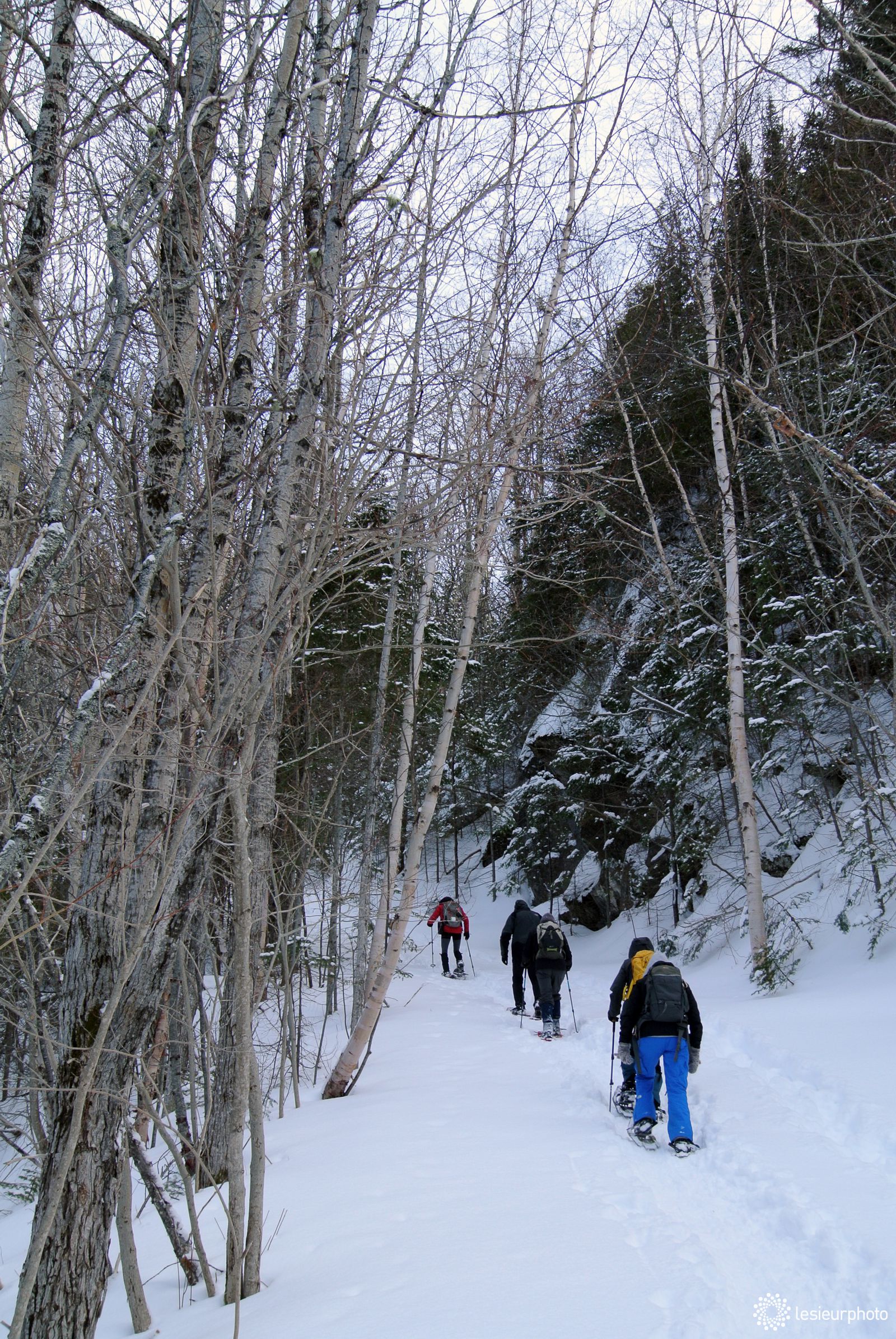 Randonnée au Parc national du Bic Plein air LeSieur Photo