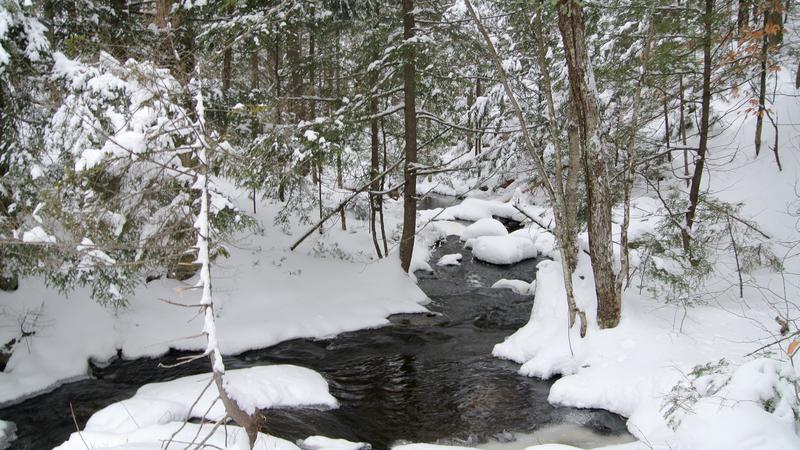 Parue dans : Parc naturel régional de Portneuf