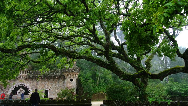 Parue dans : Quinta da Regaleira