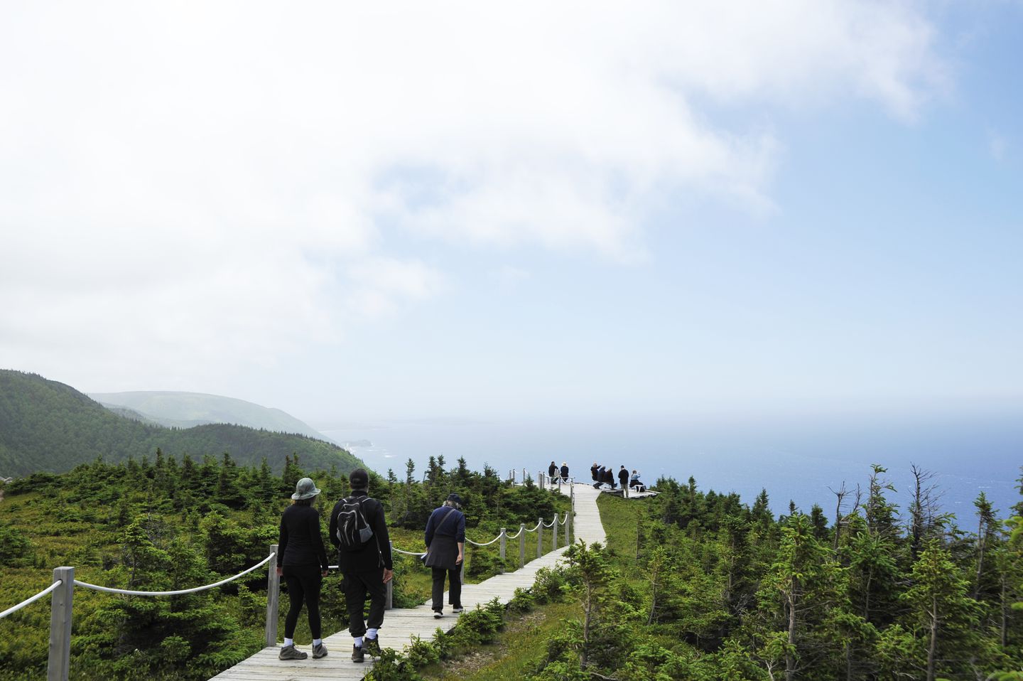 Skyline Trail ( Île du Cap Breton )