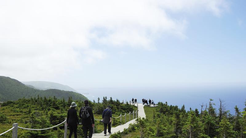 Skyline Trail ( Île du Cap Breton )