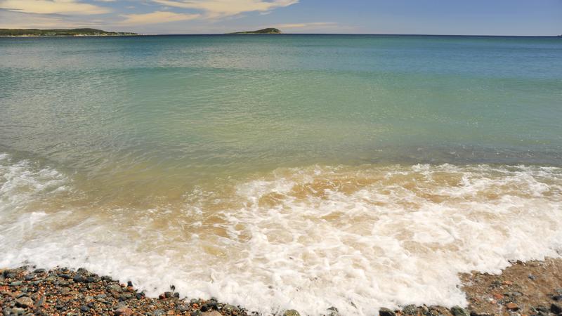 Parue dans : Iles du Cap Breton (Cabot Trail)