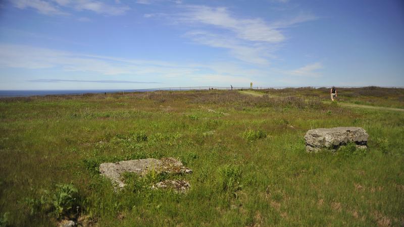 Parue dans : Île du Cap Breton