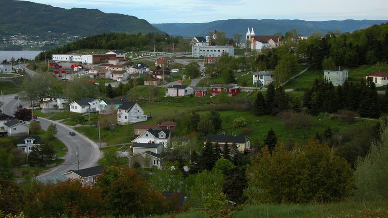Parue dans : Terre-Neuve