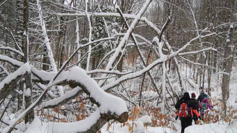 Parue dans : Parc naturel régional de Portneuf